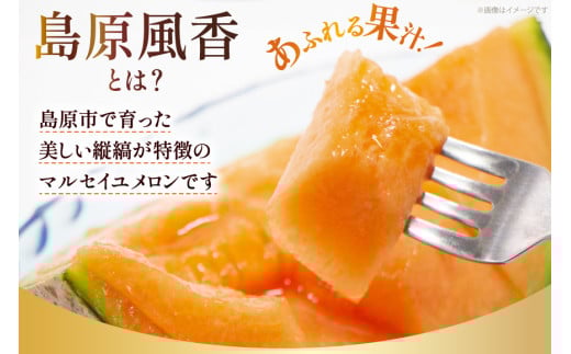 CF108【令和8年度出荷分】マルセイユメロン～島原風香～（4L×2玉）[農事組合法人　『舞岳の里』生産組合 長崎県 島原市 CF108] メロン 赤肉 果物 くだもの フルーツ 産地直送