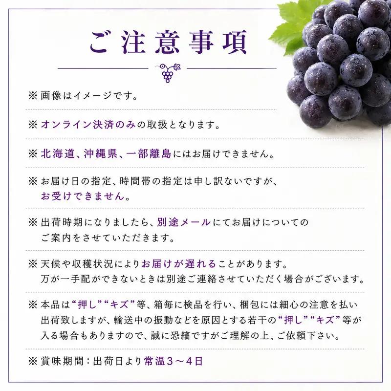 ぶどう詰合せ バラエティセット しばくらぶどう園 岡山県産 ぶどう詰合せ【約2kg 3〜4房】