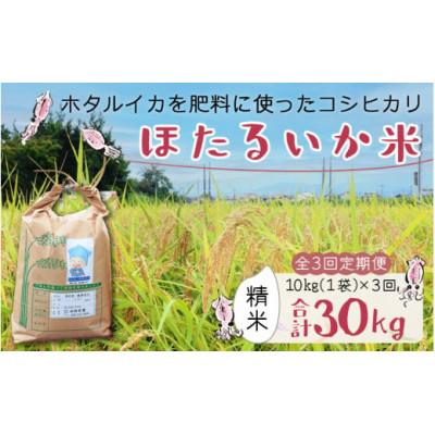 ふるさと納税 滑川市 【毎月定期便】ほたるいか米　精米　10kg全3回