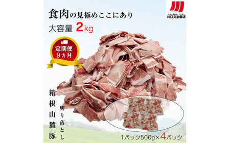 【定期便９ヵ月】箱根山麓豚　モモ・ウデ切り落とし２K盛り(500ｇ×４パック)【 箱根山麓豚 切り落とし 神奈川県 小田原市   豚肉 豚肉】
