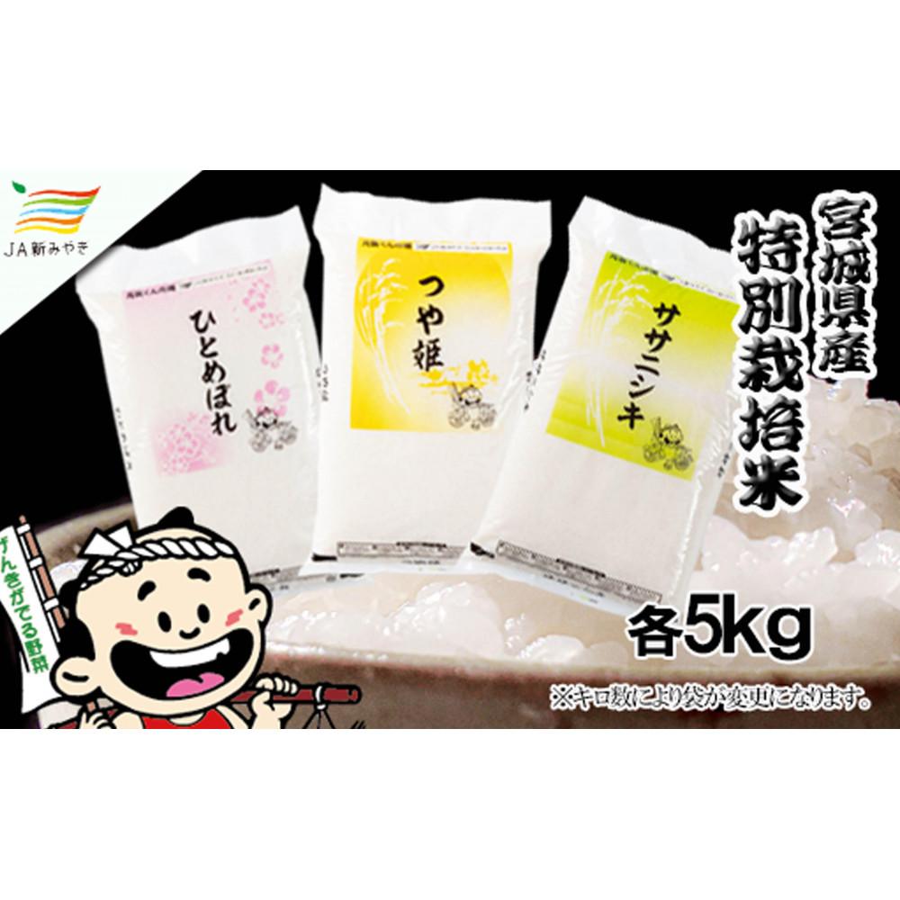 【ふるさと納税】元気くん市場 宮城の美味しいお米贅沢3種食べ比べセット（1）