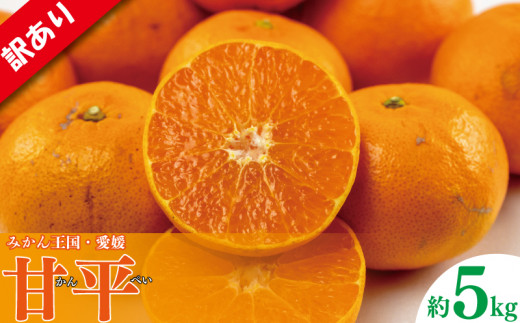 【先行予約】 訳あり みかん 甘平 約5kg | みかん ミカン 蜜柑 かんぺい カンペイ 柑橘 フルーツ 果物 愛媛県オリジナル品種  愛媛三大柑橘（ 紅まどんな せとか 甘平 ） 訳アリ 家庭用 愛媛県 松山市 2026年1月中旬から発送予定