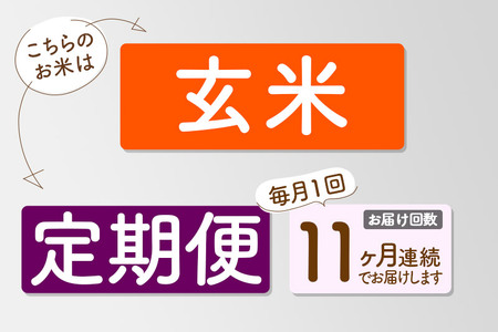 【玄米】＜令和6年産 新米予約＞ 《定期便11ヶ月》秋田県産 あきたこまち 10kg (5kg×2袋)×11回 10キロ お米【2024年秋 収穫後に順次発送開始】