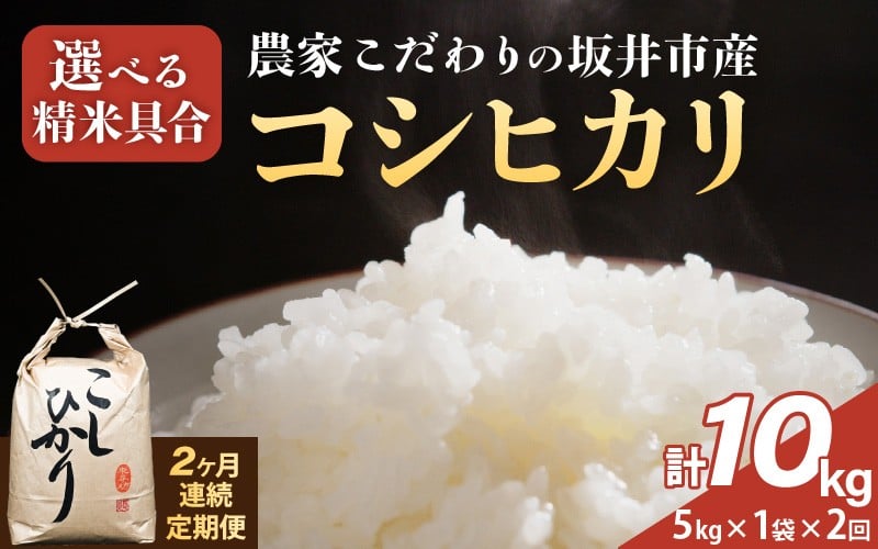 
            定期便 ≪2ヶ月連続お届け≫ 【令和7年産】農家こだわりの坂井市産 コシヒカリ 5kg×1袋×2回 (計10kg) 【選べる精米具合：白米 / 玄米】 【米 コメ お米 5キロ こしひかり ふるさと納税米 ブランド米 国産】 [C-10206]
          