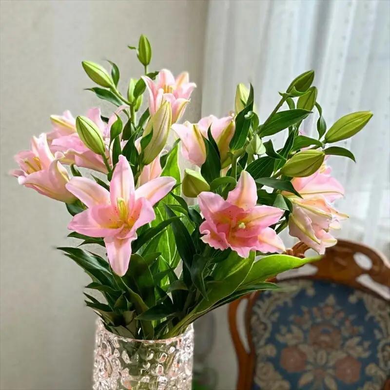 ピンクユリの花束【 神奈川県 小田原市 ユリ ユリ 】