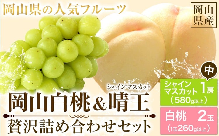 
                  252.【先行予約】 岡山白桃 & シャインマスカット（晴王）セット【配送不可地域あり】 《7月上旬-8月中旬頃出荷》 岡山県 矢掛町 桃 白桃 もも 岡山白桃 シャインマスカット マスカット ぶどう 晴王
                