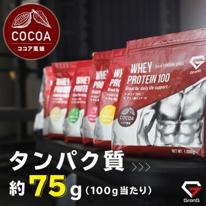 グロング ホエイプロテイン スタンダード ビタミン11種配合 ココア風味 1kg【1608406】