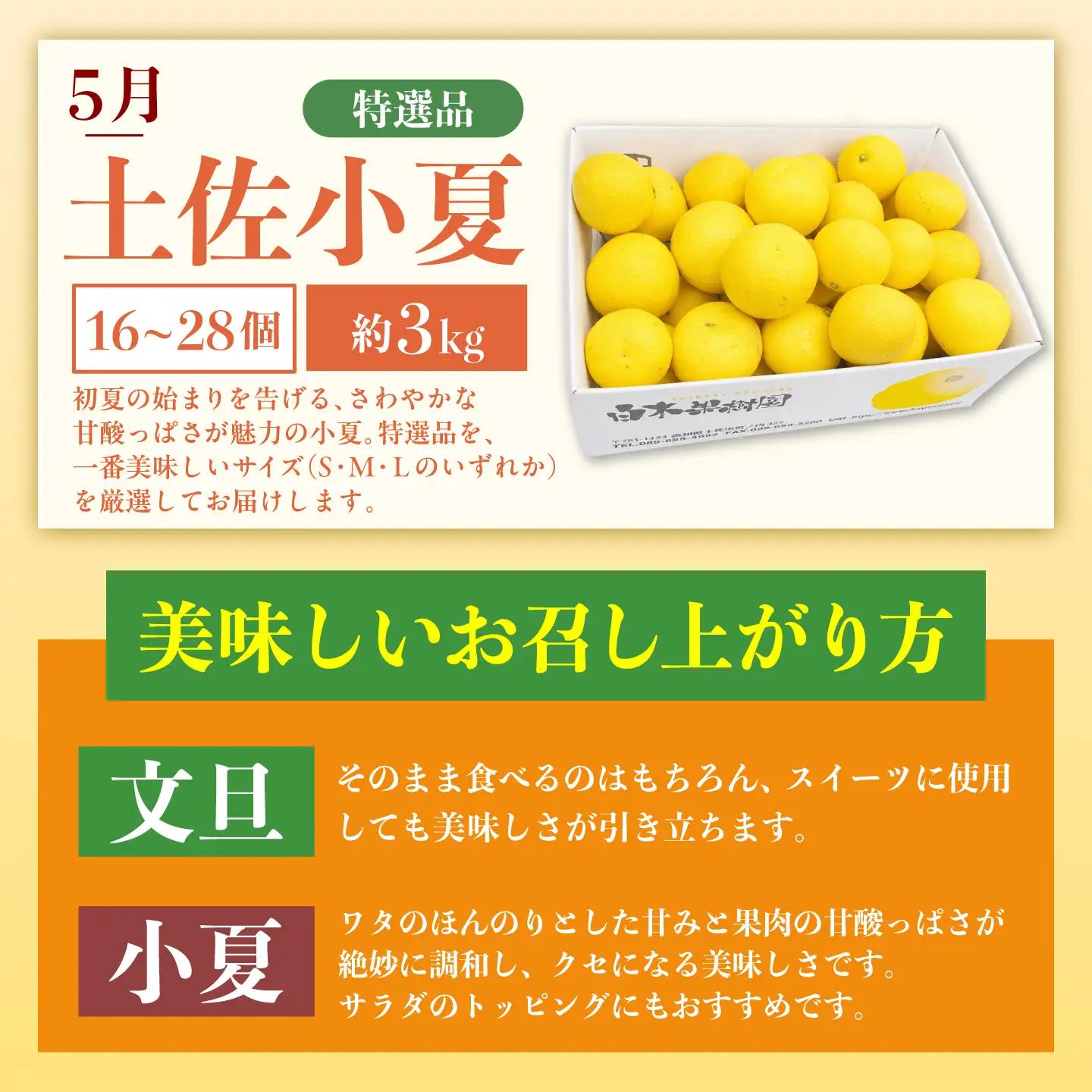 【6回定期便】文旦＆小夏バラエティ定期便 土佐の柑橘フルコース〈水晶文旦・温室文旦・土佐文旦・甘熟とさ小夏・土佐小夏〉くだもの 定期【白木果樹園】[BQAI062]