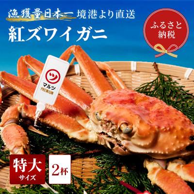 ふるさと納税 智頭町 【蟹セレブ】ズワイガニ(紅ズワイガニ)特大2杯(600〜700g)