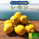 【ふるさと納税】青いレモンの島　レモン約1kg【お試しセット】【1287524】