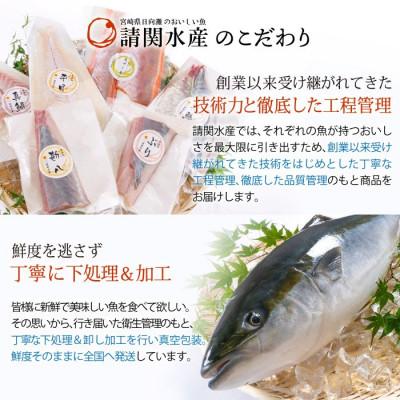 ふるさと納税 門川町 【毎月定期便】海鮮 お魚漬け丼(門川町)全6回 |  | 02
