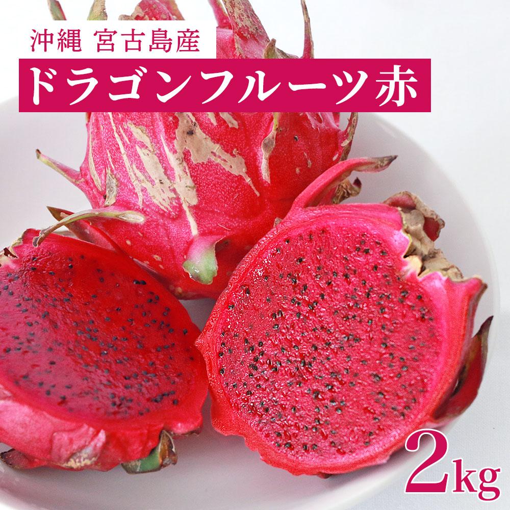 【ふるさと納税】沖縄県宮古島産|ドラゴンフルーツ(赤)2kg【2025年発送】 | 健康食フルーツ 無農薬 ビタミン 果物 フルーツ お取り寄せ 取り寄せ 特産品 ギフト プレゼント 人気 おすすめ 送料無料 南国 沖縄 宮古島