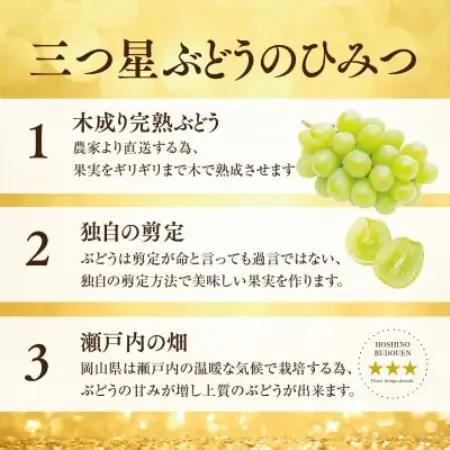 先行受付【三つ星ぶどう】星乃シャインマスカット (3房～4房 1.8kg以上) 岡山県産【配送不可地域：離島・北海道・沖縄県】【1746009】