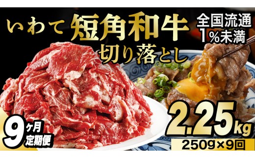 ＼9ヶ月連続 定期便／ 切り落とし 赤身 肉 牛肉 いわて 短角和牛 250g (総計 2.25kg) 小分けパック 真空冷凍 | 牛肉 肉 赤身 短角 和牛 国産牛 ブランド牛 切り落し 大容量 牛丼 肉じゃが 煮込み 煮物 小分け 真空パック 数量限定 (AB113)