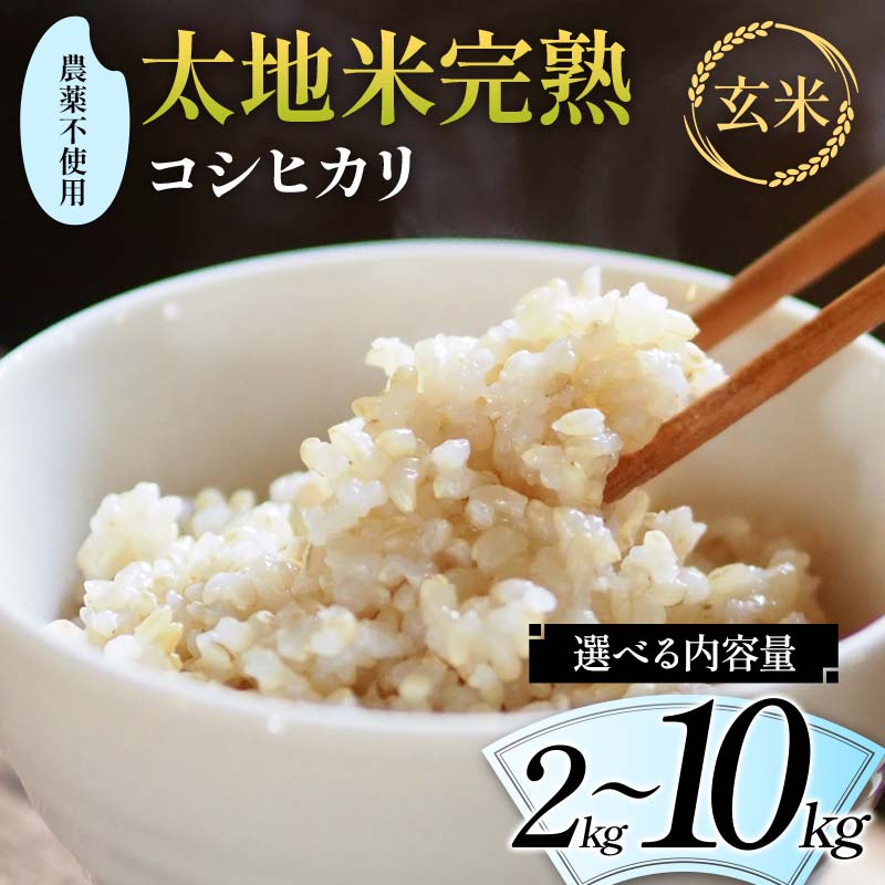 【ふるさと納税】＼選べる内容量／ 2026年産 農薬不使用 太地米完熟 【こしひかり】 玄米 2kg 3kg 5kg 10kg ブランド米 お米 人気 F7X-0672var