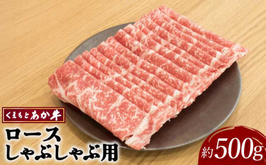 令和8年熊本地震復興支援 牛肉 くまもとあか牛 ロース しゃぶしゃぶ用 約500g×1パック 和牛