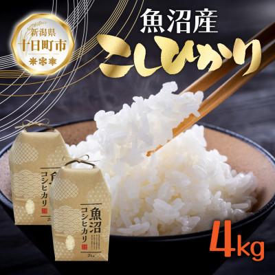 ふるさと納税 十日町市 【令和7年産 新米予約】魚沼産 コシヒカリ 4kg 精米 新潟県 十日町市 仁田地区限定