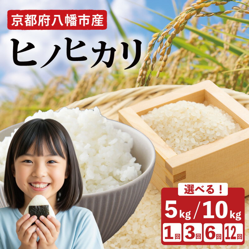 【ふるさと納税】 令和7年産先行受付 ヒノヒカリ 5kg 10kg 単品 定期便 令和7年産 新米 米 精米 こめ コメ お米 ご飯 米 ひのひかり 先行予約 令和7年 3回定期便 6回定期便 12回定期便 3ヶ月定期便 6ヶ月定期便 12ヶ月定期便 ふるさと納税米 ふるさと納税新米 京都 八幡市