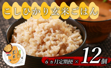【定期便6回】こしひかり玄米ご飯パック 160g×12個