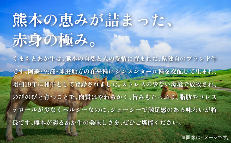 牛肉 ヒレ肉 あか牛ヒレ肉 シャトーブリアン約1.5kg(約150g×10枚) あか牛ヒレ肉 希少部位 シャトーブリアン 約1.5kg 約150g×10枚 ステーキ あかうし 赤牛 牛肉 牛 ビーフ 