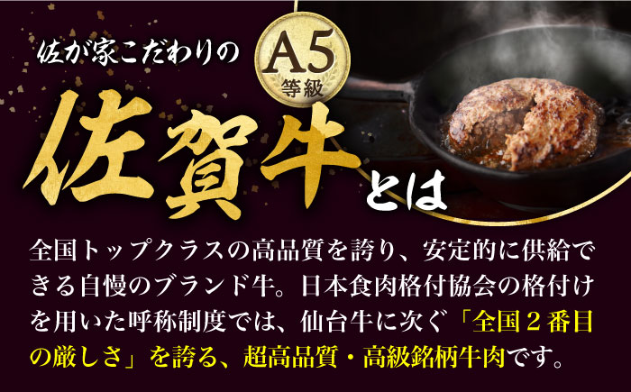 【こだわりハンバーグを食べ比べ】佐賀牛と若楠三元豚のハンバーグ 食べ比べセット 計4個（2種×2個）/ナチュラルフーズ [UBH081]
