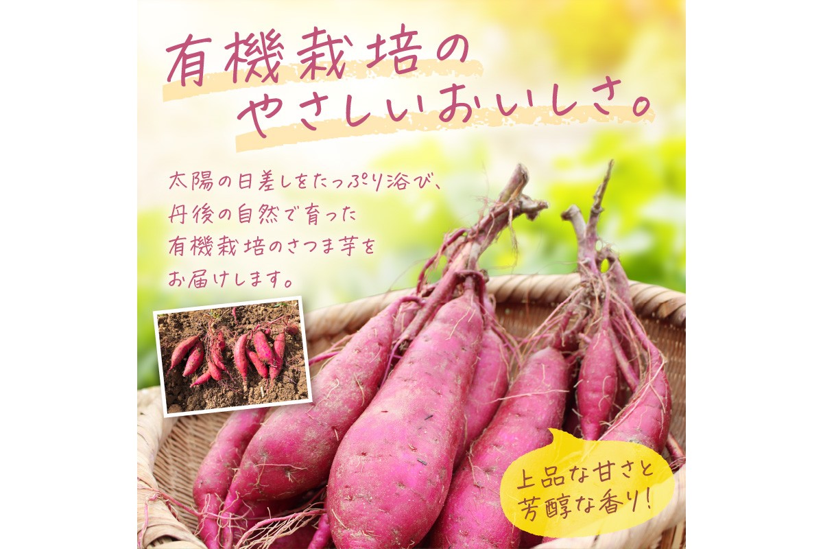 ＜てんとうむしばたけ＞有機さつまいも(紅はるか)5kg　BR00030
