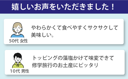 【上五島の塩がアクセントに】島らしく島ラスク 藻塩付 8枚入り×3箱 計24枚【新上五島在宅ケアセンター】[RAR002]