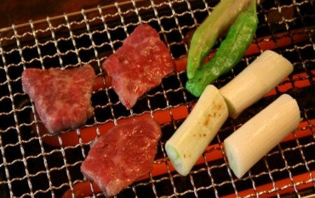 伊賀焼 あぶり名人 長角型（シーズヒーターコンロ）【ngtn0042】