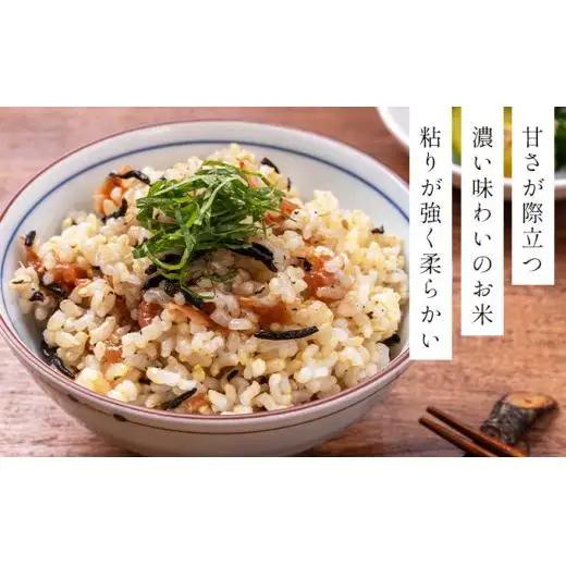 【玄米】《令和 7 年産》お米 ゆめぴりか玄米 5kg｜米 北 海道 岩見沢市 ファーム坂口の特別栽培米