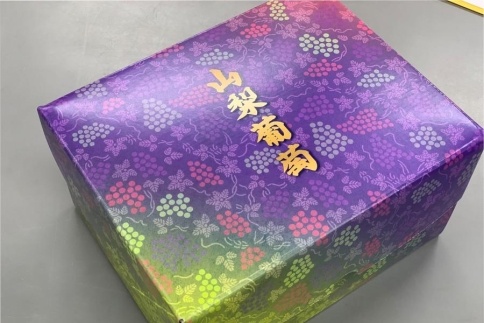 ＜期間・数量限定＞種なしピオーネ 2房 1.1kg