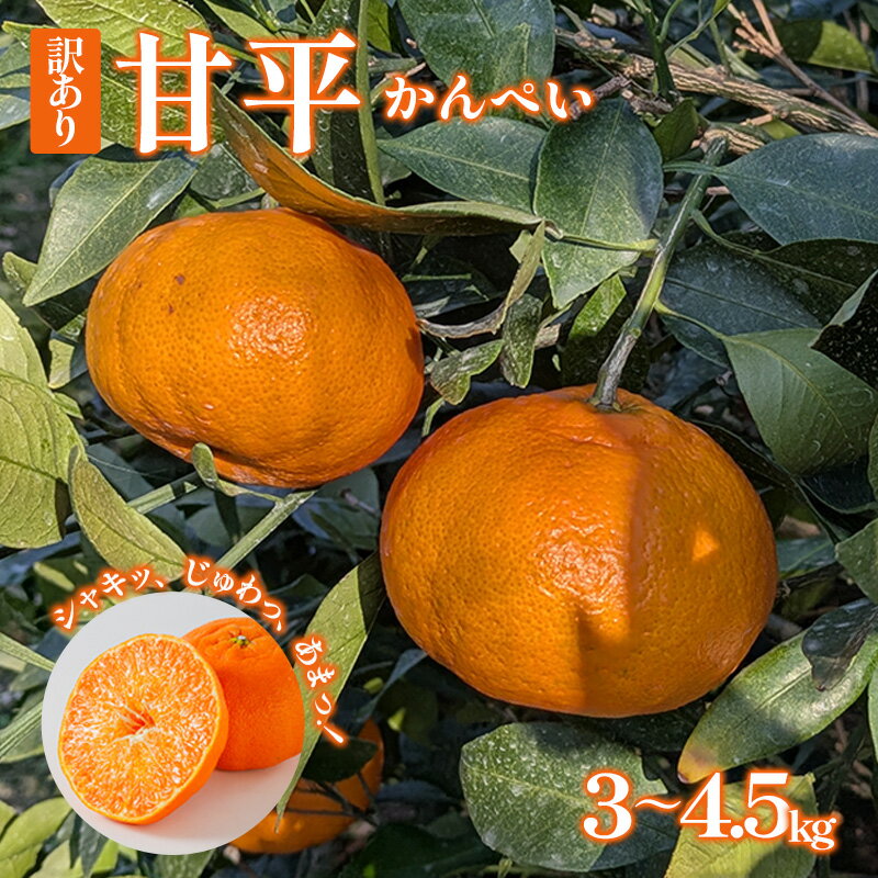 【ふるさと納税】 【2026年2月初旬発送】家庭用 訳あり甘平 3kgまたは4.5kg｜みかん 蜜柑 旬 わけあり 訳あり 甘い 柑橘 果物 フルーツ 糖度 愛媛 松山