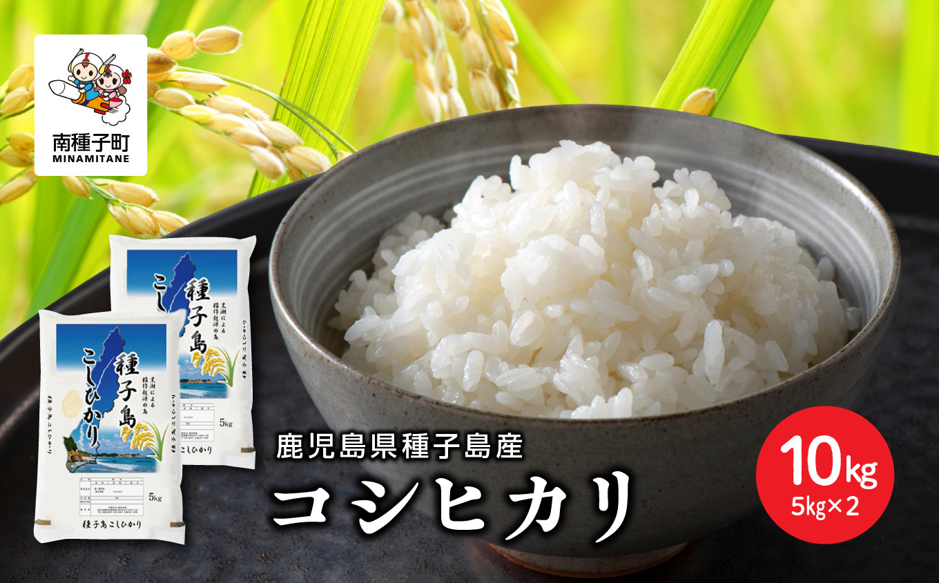 
            《令和7年産米》 新米 種子島産コシヒカリ 10kg 新米 米 お米 こめ コメ 精米 白米 コシヒカリ こしひかり 食品 グルメ お取り寄せ おすそわけ 人気 おすすめ ギフト 南種子町 鹿児島 かごしま 【有限会社新栄物産】
          