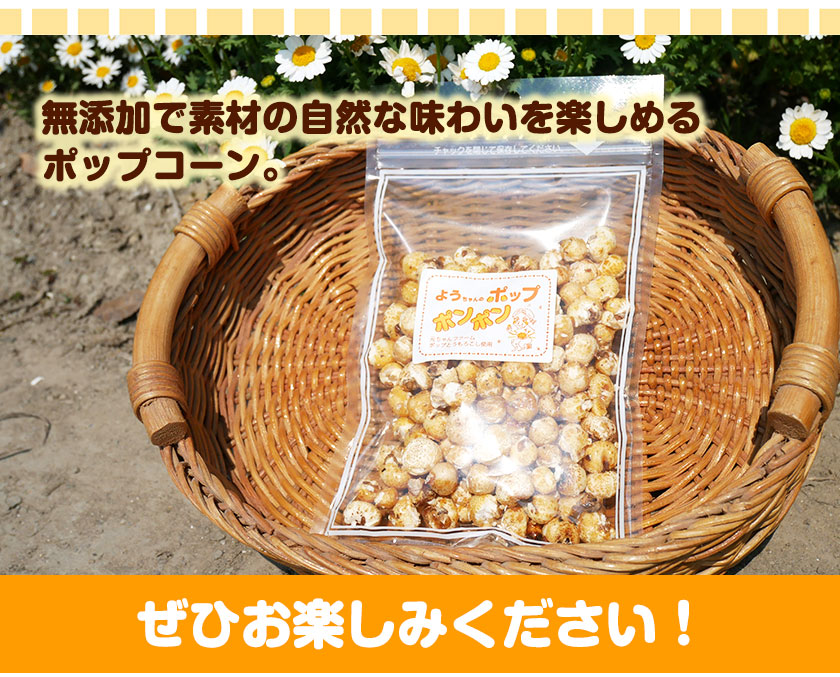 ポップコーンポンポン 元ちゃんファーム《30日以内に出荷予定(土日祝除く)》 和歌山県 紀の川市 トウモロコシ 菓子 ポップコーン 送料無料