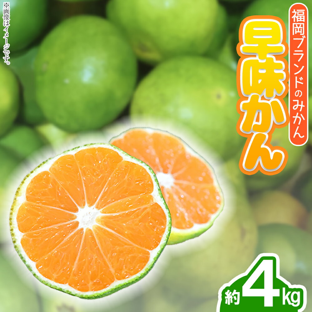 【ふるさと納税】 福岡ブランドみかん・早味かん約4kg 果物 くだもの フルーツ 送料無料 福岡 赤村 4A17