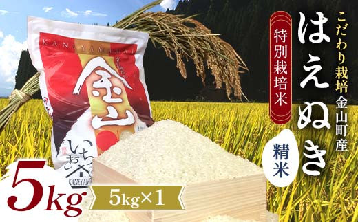 【令和7年度産】【数量限定】 特別栽培米 はえぬき 精米5kg 米 お米 ご飯 ブランド米 F4B-0753