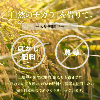 ふるさと納税 足利市 のりちゃん米 もち米(きぬはなもち)2kg<栽培期間中 農薬・肥料不使用> |  | 02