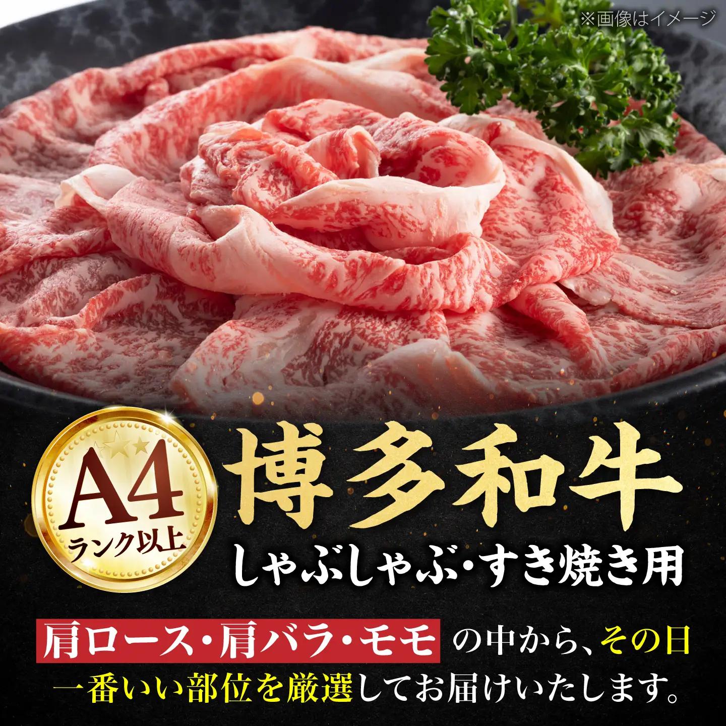 博多和牛シャブシャブ用 500g VBB001 黒毛和牛 牛しゃぶ 牛肉