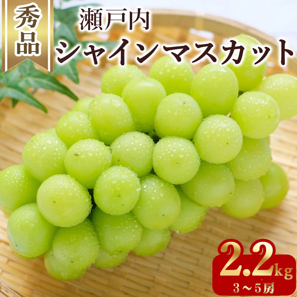 
                  シャインマスカット 3～5房(約2.2kg)
                