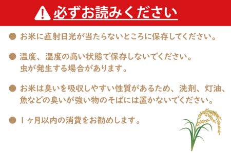 令和5年産  無洗米 茨城 コシヒカリ 10kg (5㎏×２袋) 米 お米 おこめ 白米 ライス ご飯 精米 こしひかり 国産 茨城県産_CU002