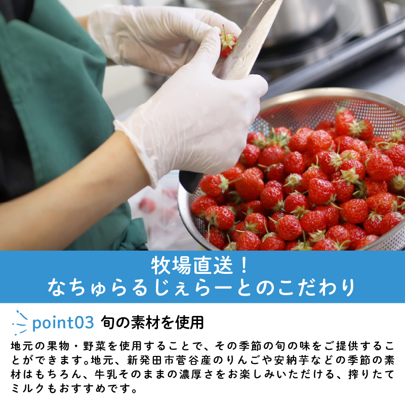 ジェラート 定期便 6個入 2回 ミルク ミルクチョコ 塩キャラメル 緑茶 お茶 季節 のジェラート 限定 アイス ジェラート セット 手作り  6個 なちゅらるじぇらーと なかの牧場 新潟 新発田 