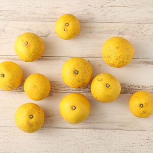 月ヶ丘果樹園の訳あり小夏５kg　家庭用柑橘 日向夏 みかん フルーツ 先行予約 特産果物【R00177】