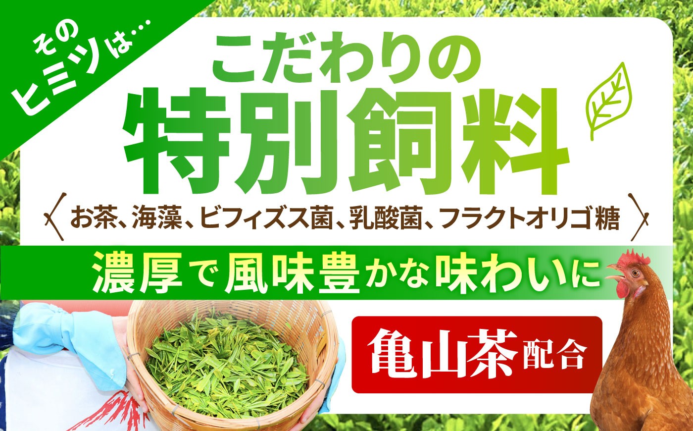 卵 たまご タマゴ 卵定期便 たまご定期便 定期便 オムレツ 卵かけご飯 6ヶ月 6か月 6カ月 6ヵ月 6ケ月 180個