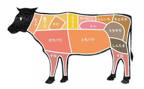 FYN9-790 山形県産 山形牛 A4等級以上 モモ すき焼用 400g 黒毛和牛 肉 国産 ブランド牛 贅沢