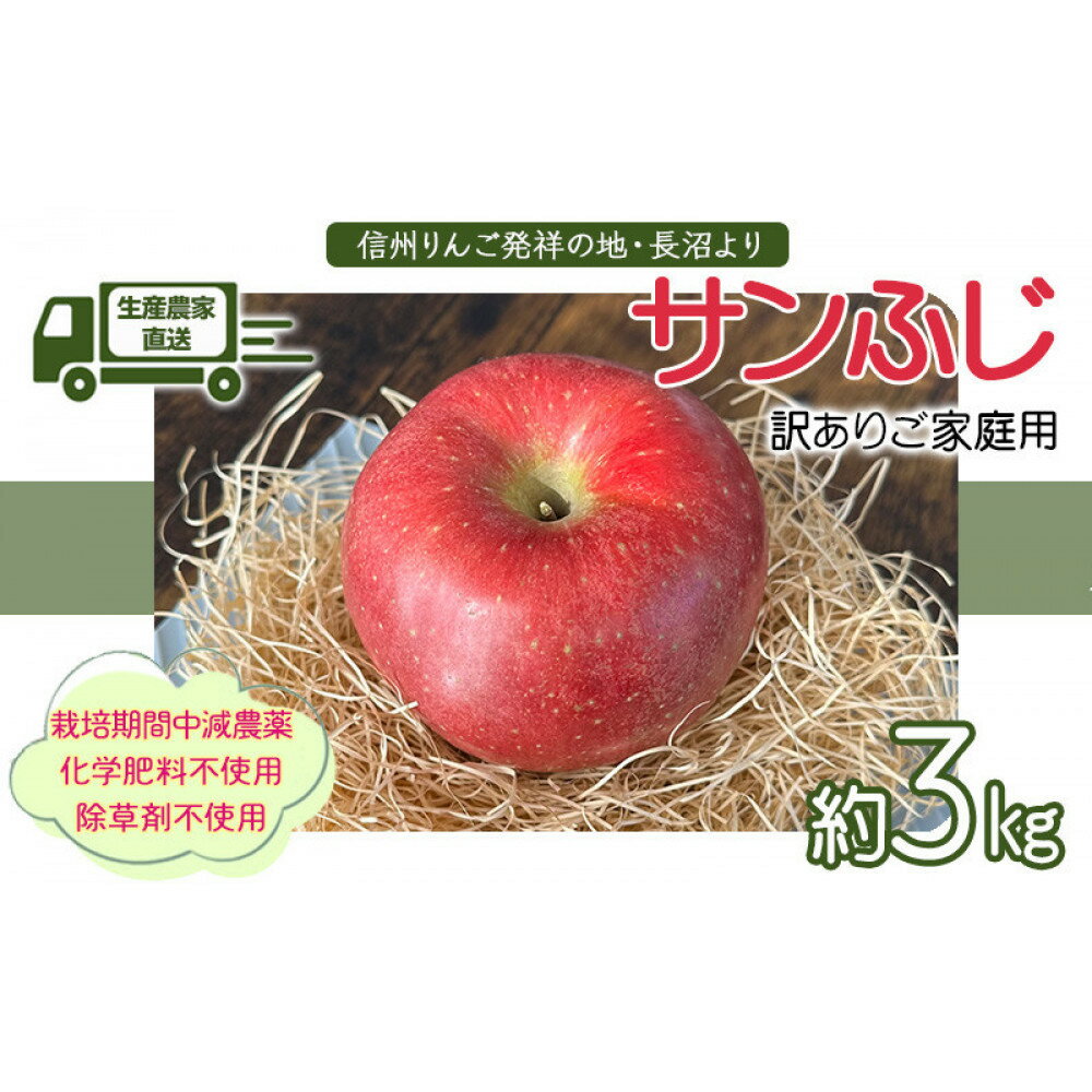 【ふるさと納税】生産農家直送 人にやさしい 長沼りんご・サンふじ3kg（ご家庭用）
