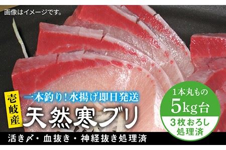 壱岐島産天然寒ブリ（5キロ台・3枚おろし） 《壱岐市》【壱岐島　玄海屋】[JBS011] ぶり 寒ぶり ブリ 魚 刺身 しゃぶしゃぶ 56000 56000円 のし プレゼント ギフト 冷蔵配送 九州