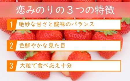 【期間限定発送】 いちご 恋みのり 2パック（500g以上） 2Lサイズ以上 シャインファームから直送 [吉岡青果 長崎県 雲仙市 item1500] イチゴ 苺 果物 くだもの フルーツ 数量限定 