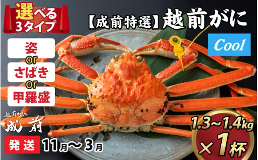 【先行予約】選べる！美味しさ直送【成前特選】越前かに（1.3kg～1.4kg）×1杯【11月～3月発送】姿 [P-028051_06]