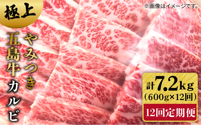 
【全12回定期便】 極上 やみつき 五島牛 カルビ 600g 【肉のマルヒサ】 [PCV034]
