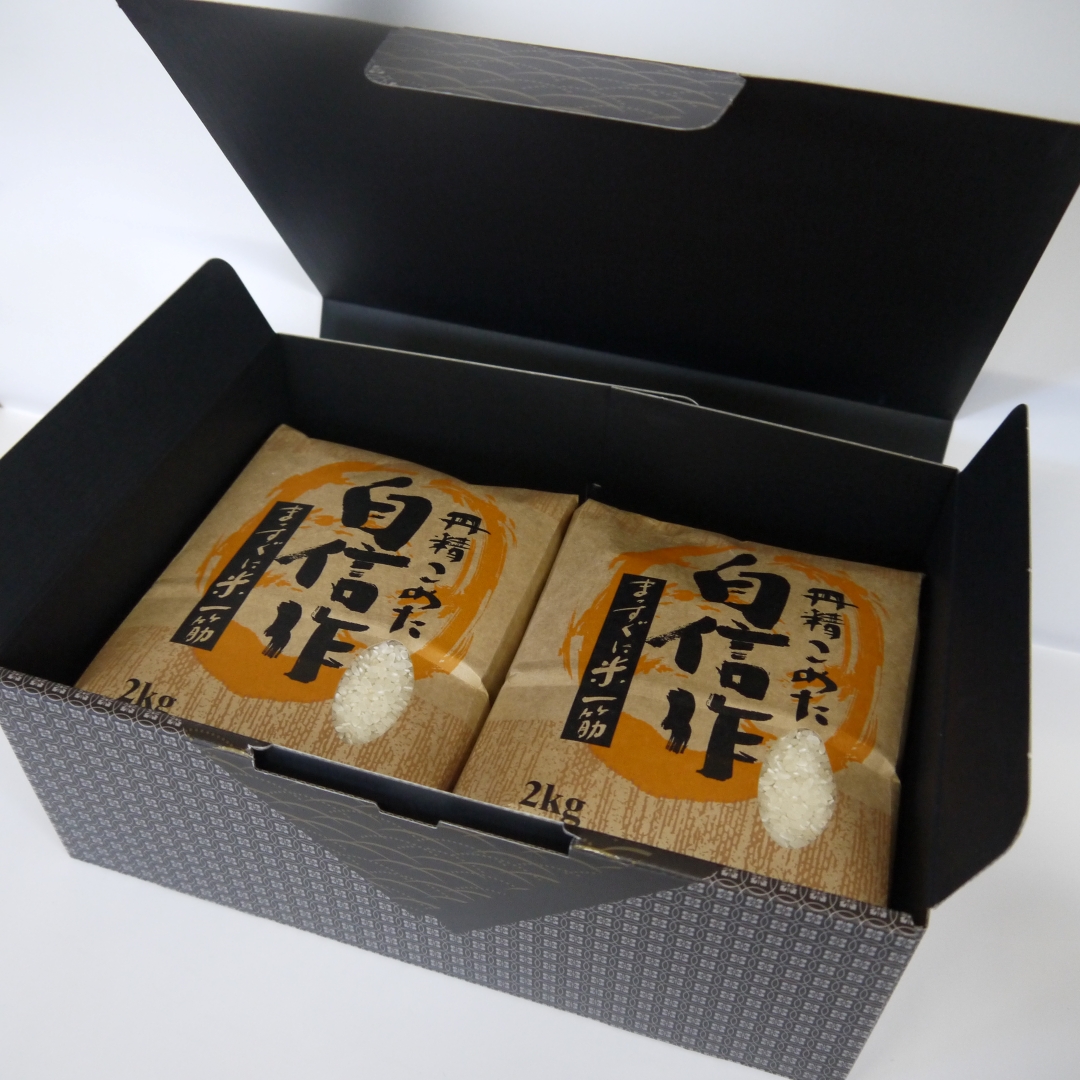 【令和7年産】佐渡高千産こしひかり 精米2kg×2袋 化粧箱入195956-0014