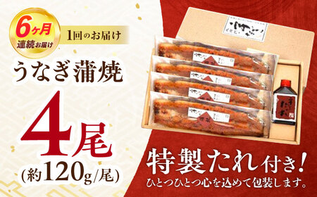【6回定期便】『北御門』うなぎ蒲焼4尾入り / 特上 うなぎ 鰻 ウナギ 蒲焼 蒲焼き かばやき うな重 ひつまぶし 冷凍 / 諫早市 / 諫早観光物産コンベンション協会[AHAB053]